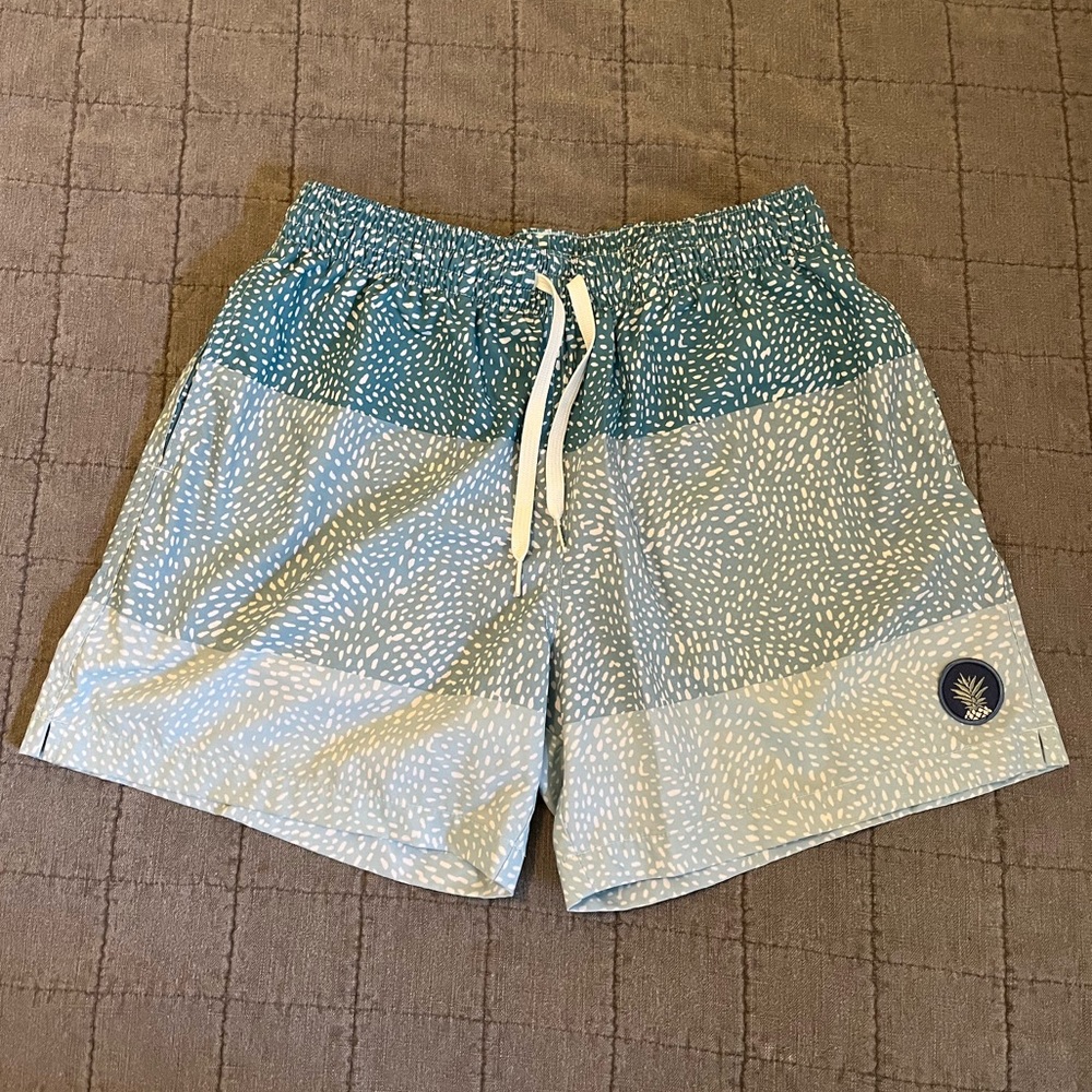 Chubbies Classic Swim Trunks Medium